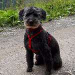 Ersteller:in Sabine Profilbild