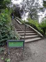 Hundeauslaufgebiet-Philosophenweg-Bild