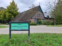 Hundeauslaufgebiet-Groth Park-Bild
