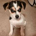 Ersteller:in Horst Profilbild