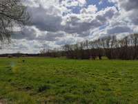 Hundeauslaufgebiet-Mühlgraben Knauthain-Bild