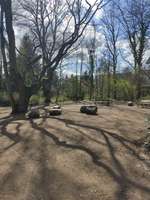 Hundeauslaufgebiet-Schlosspark Großzschocher-Bild