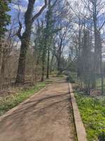 Hundeauslaufgebiet-Schlosspark Großzschocher-Bild