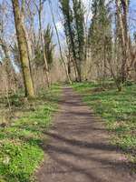 Hundeauslaufgebiet-Schlosspark Großzschocher-Bild