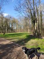 Hundeauslaufgebiet-Schlosspark Großzschocher-Bild