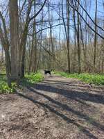 Hundeauslaufgebiet-Mühlgraben Knauthain-Bild