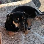 Ersteller:in Gabi Profilbild