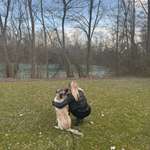 Ersteller:in Sarah Profilbild