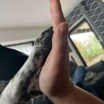 Ersteller:in Lisa Profilbild