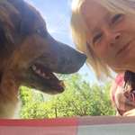 Ersteller:in Elli Profilbild