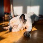 Ersteller:in Conny Profilbild