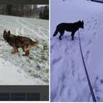 Ersteller:in Isabell Profilbild