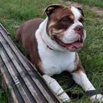 Ersteller:in Sabrina Profilbild