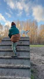 Hundeauslaufgebiet-Hundeplatz Babelsberg-Bild