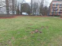 Hundeauslaufgebiet-Baurstraße-Bild