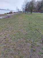 Hundeauslaufgebiet-Övelgönner Hohlweg/Ringelnatztreppe -Bild