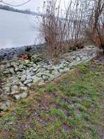 Hundeauslaufgebiet-Övelgönner Hohlweg/Ringelnatztreppe -Bild