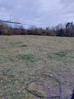 Hundeauslaufgebiet-Groth Park-Bild