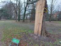 Hundeauslaufgebiet-Bonnepark-Bild