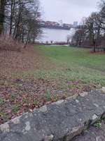 Hundeauslaufgebiet-Hindenburgpark-Bild