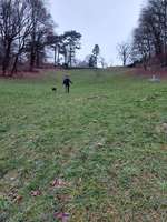 Hundeauslaufgebiet-Hindenburgpark-Bild