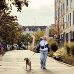 Ersteller:in Anna Profilbild