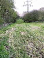 Hundeauslaufgebiet-Herbecker Haldenrunde-Bild