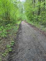 Hundeauslaufgebiet-Herbecker Haldenrunde-Bild