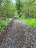 Hundeauslaufgebiet-Herbecker Haldenrunde-Bild