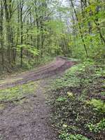 Hundeauslaufgebiet-Herbecker Haldenrunde-Bild