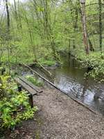 Hundeauslaufgebiet-Herbecker Haldenrunde-Bild