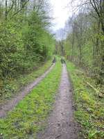 Hundeauslaufgebiet-Herbecker Haldenrunde-Bild