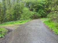 Hundeauslaufgebiet-Herbecker Haldenrunde-Bild