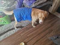 Zitate aus Film und Fernsehen-Beitrag-Bild