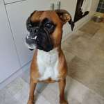 Ersteller:in Toni Profilbild