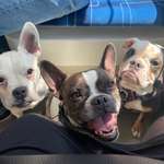 Ersteller:in Sany Profilbild