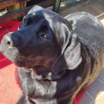 Ersteller:in Samira Profilbild