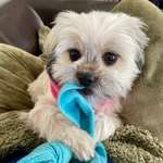 Ersteller:in Anica Profilbild