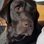 Ersteller:in Helene Profilbild