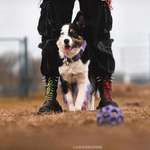 Ersteller:in Nox Profilbild