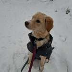 Ersteller:in Steffi Profilbild