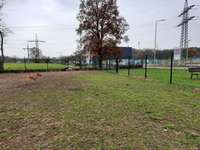 Hundeauslaufgebiet-Freilaufgebiet Mainaschaff-Bild
