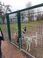 Hundeauslaufgebiet-Freilaufgebiet Mainaschaff-Bild