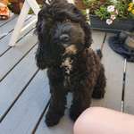 Ersteller:in Susanne Profilbild