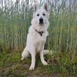 Ersteller:in Laura Profilbild