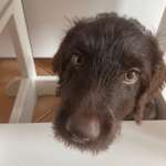 Ersteller:in Desiree Profilbild