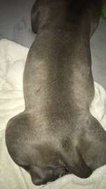 Abszess nach Spritze-Beitrag-Bild