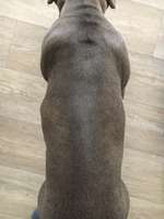 Abszess nach Spritze-Beitrag-Bild