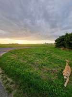 Hundeauslaufgebiet-Dremmenerfeld und Umgebung-Bild