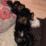 Ersteller:in Birgit Profilbild